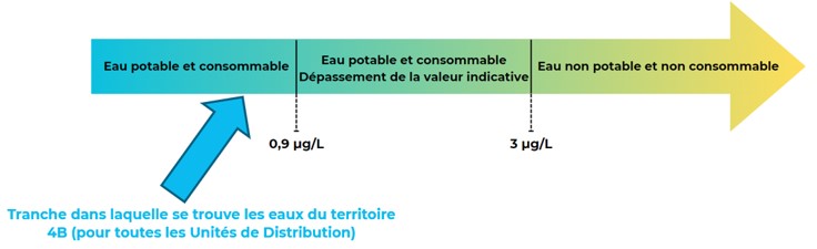 schema anses