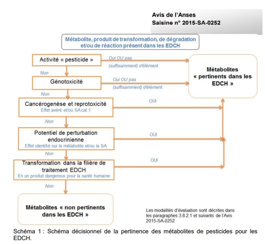 schema anses